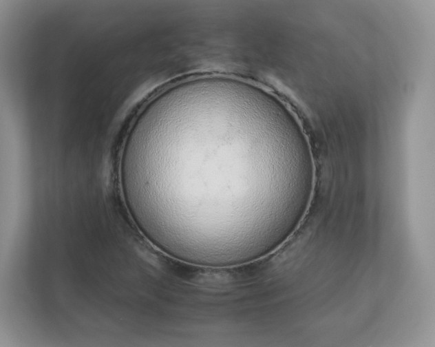 X0000110911215200906251351