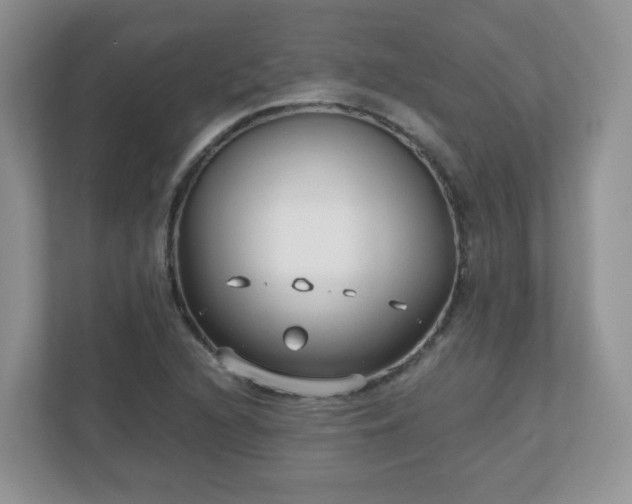 X0000110911216200906251351