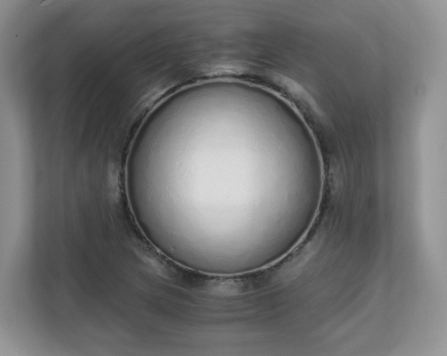 X0000110911217200906251351