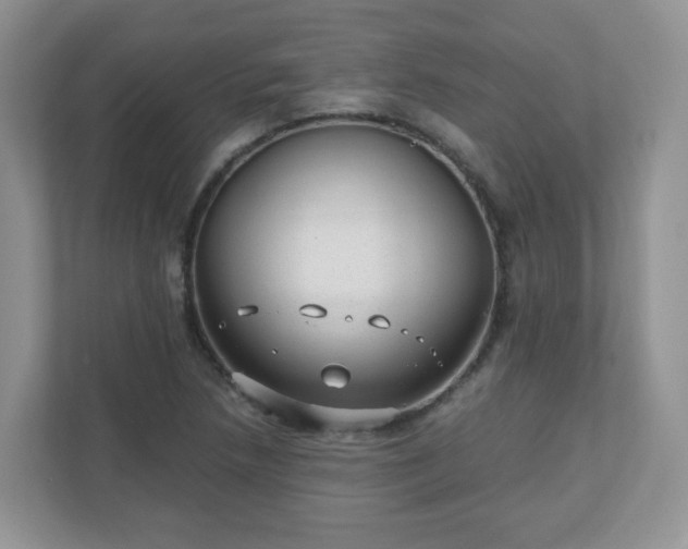 X0000110911218200906251351