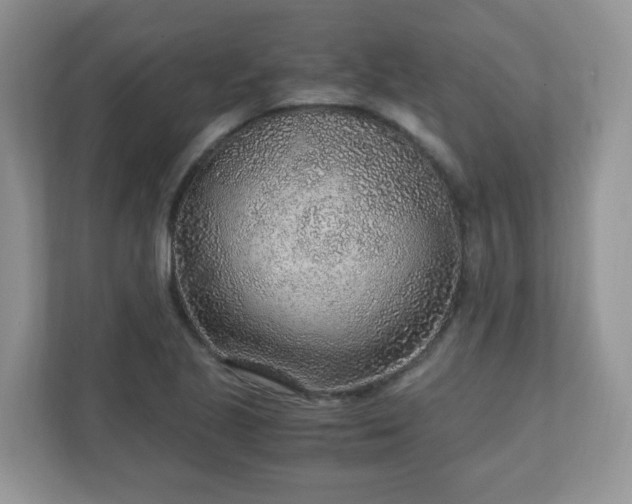 X0000110911221200906251351