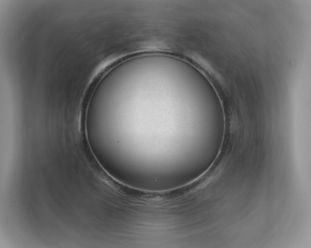 X0000110911222200906251351