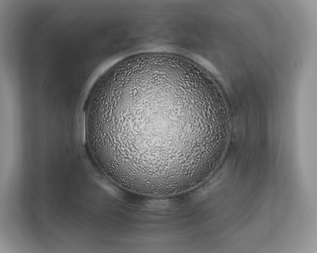 X0000110911223200906251351