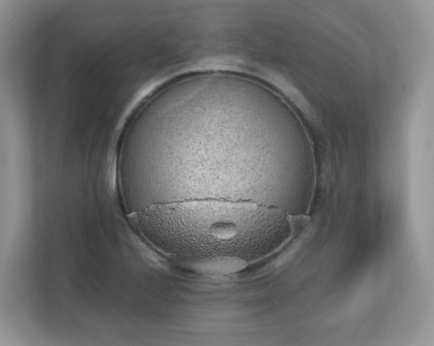 X0000110911224200906251351