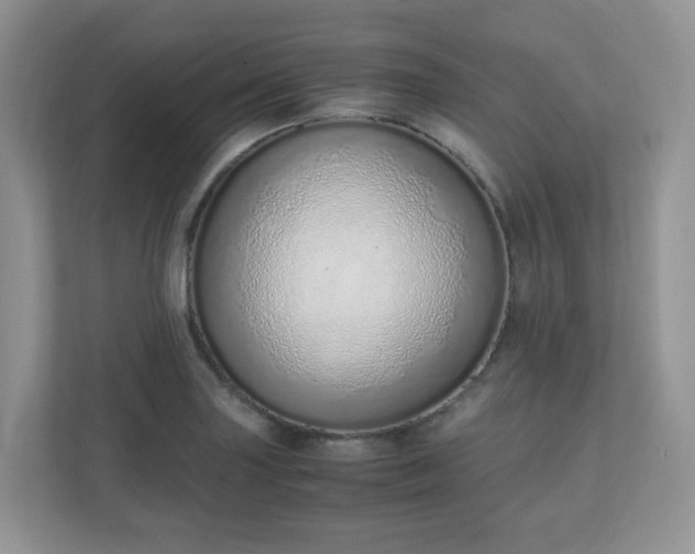 X0000110911227200906251351