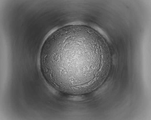 X0000110911229200906251351