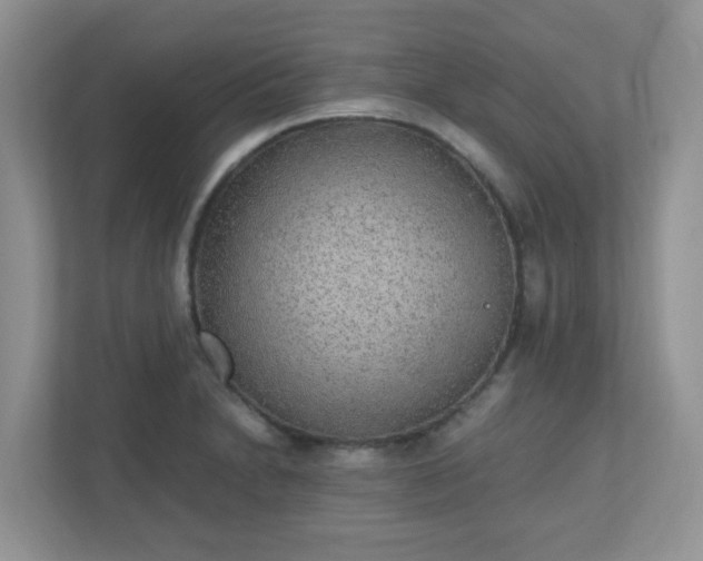 X0000110911230200906251351