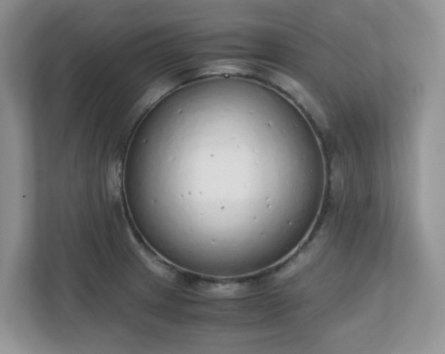 X0000110911233200906251351