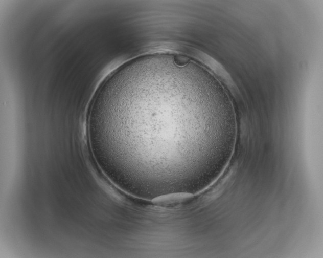 X0000110911234200906251351