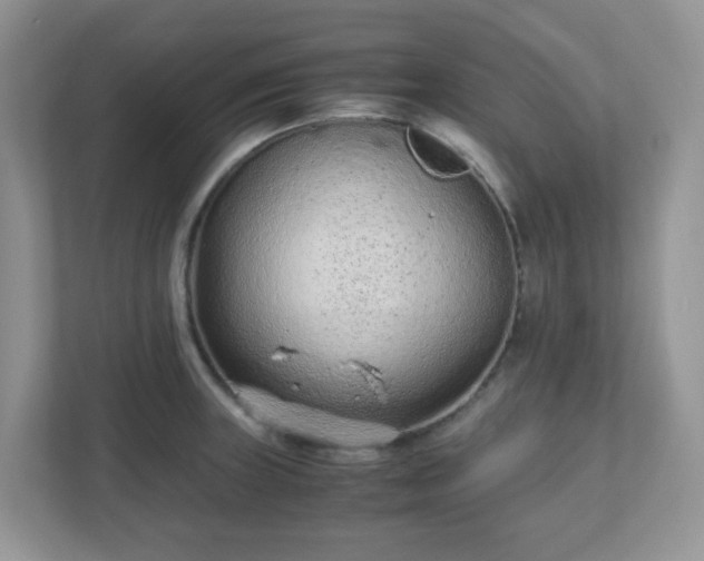 X0000110911235200906251351