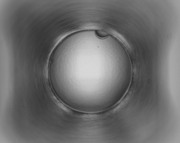 X0000110911236200906251351