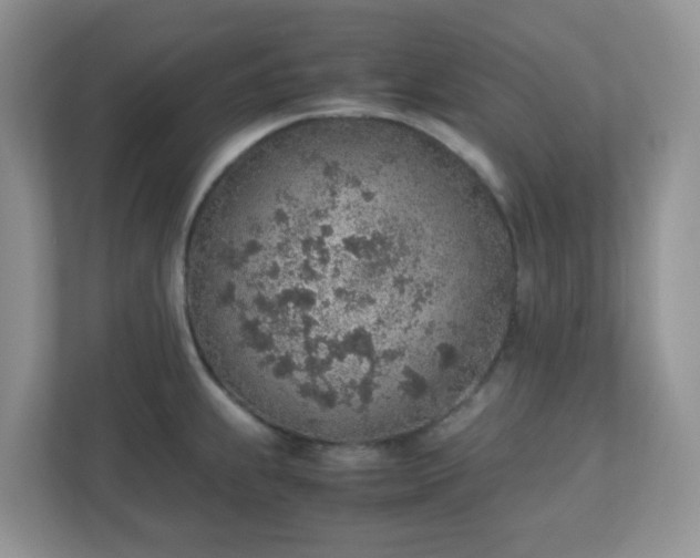 X0000110911239200906251351