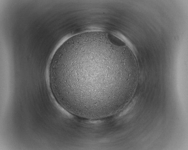 X0000110911243200906251351