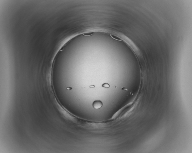 X0000110911244200906251351