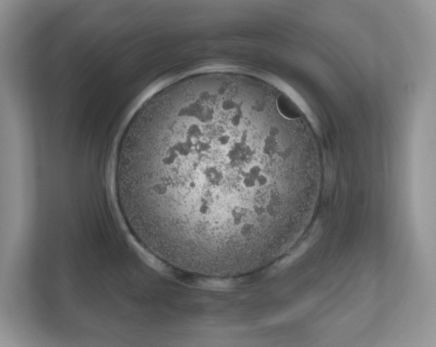 X0000110911245200906251351