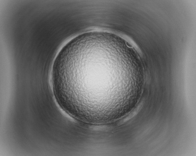 X0000110911247200906251351