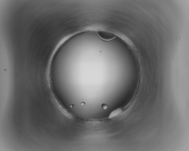 X0000110911248200906251351