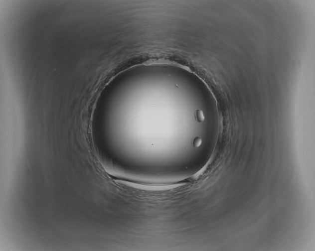 X0000110911249200906251350