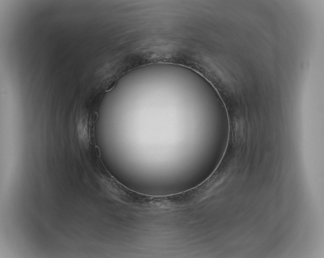 X0000110911250200906251350