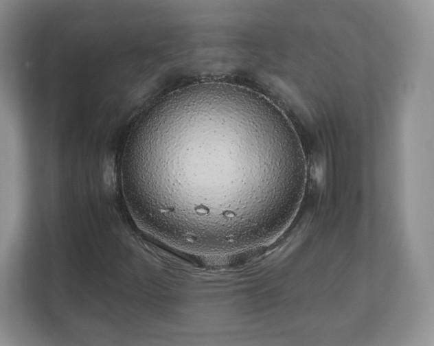 X0000110911252200906251350