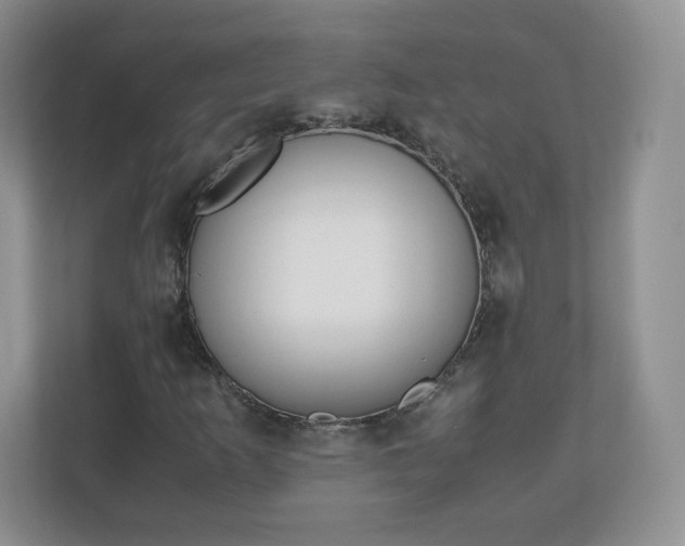 X0000110911253200906251350