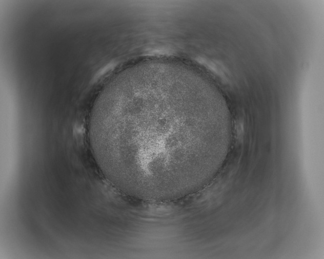 X0000110911254200906251350