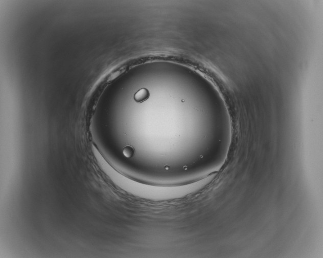 X0000110911256200906251350