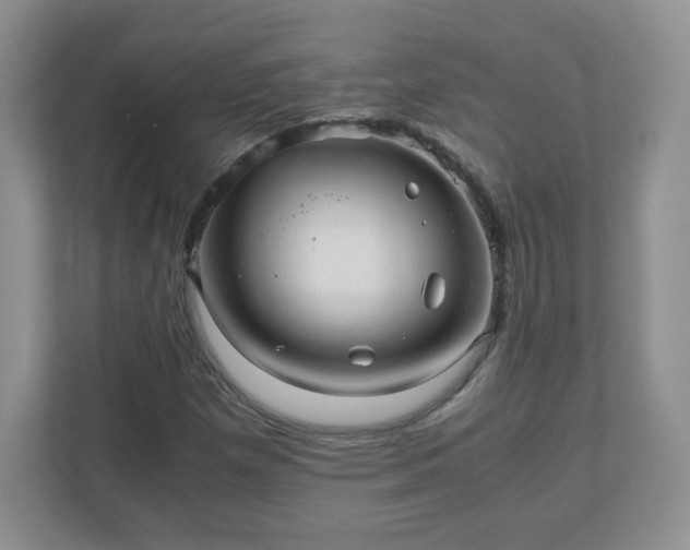 X0000110911257200906251350