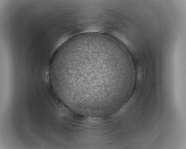 X0000110911258200906251350