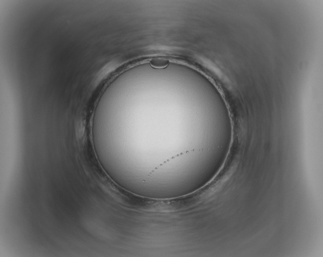 X0000110911259200906251350