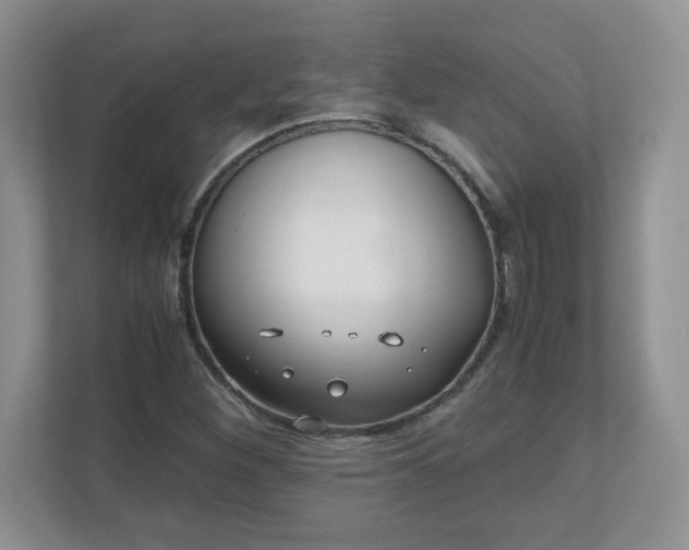 X0000110911260200906251350