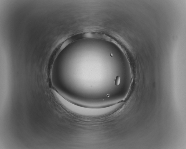 X0000110911261200906251350