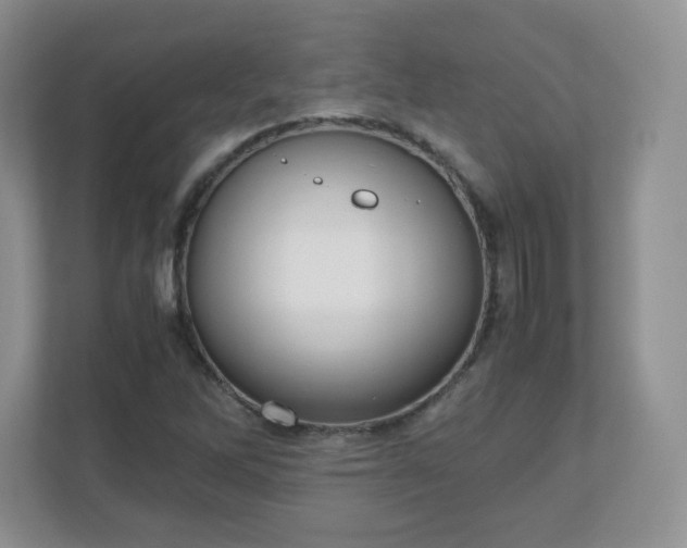 X0000110911262200906251350