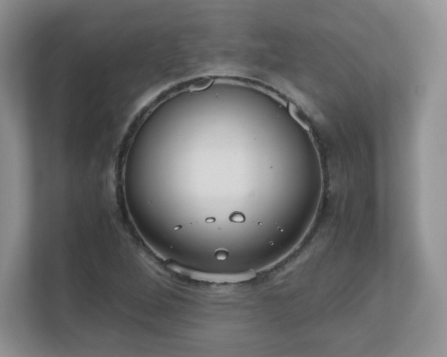 X0000110911264200906251350