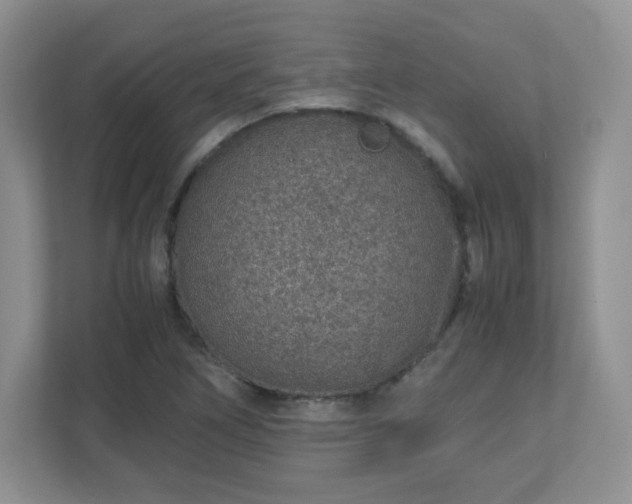 X0000110911266200906251350