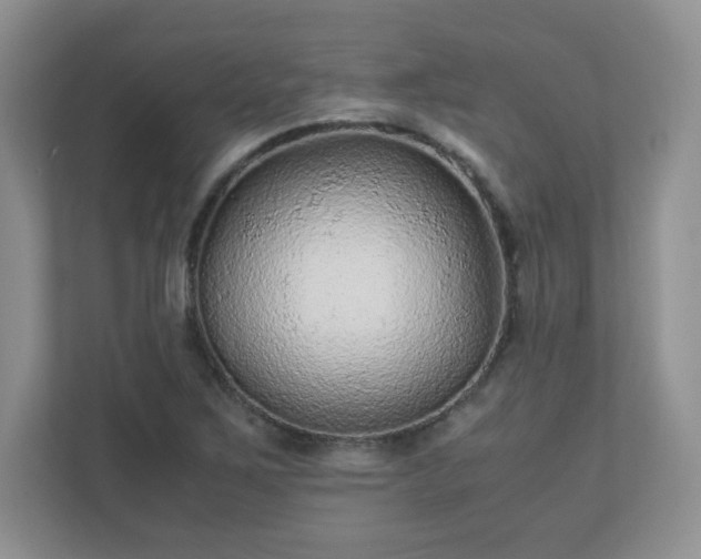 X0000110911267200906251350