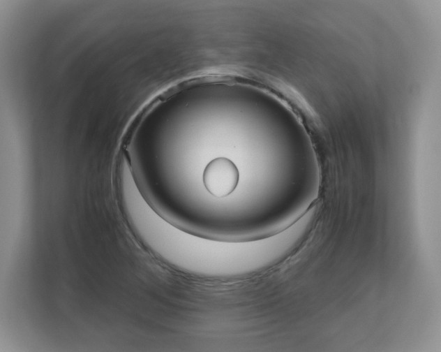 X0000110911268200906251350