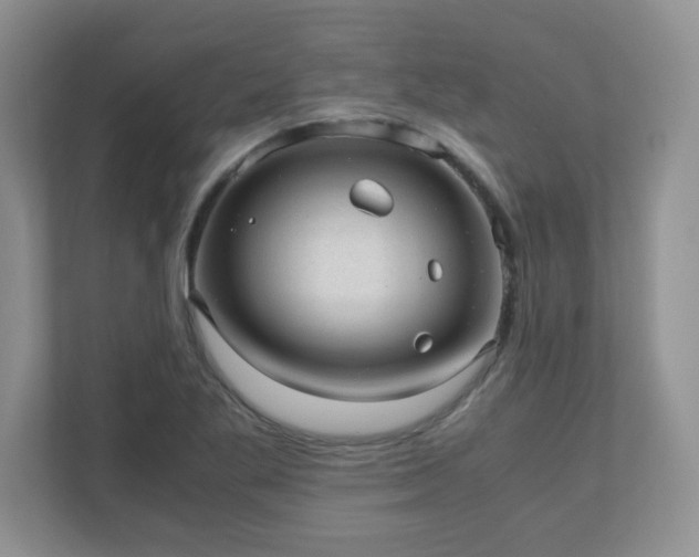 X0000110911269200906251350