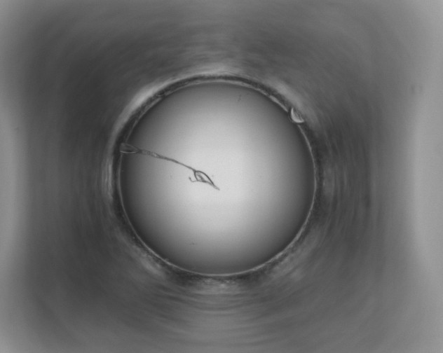 X0000110911270200906251350