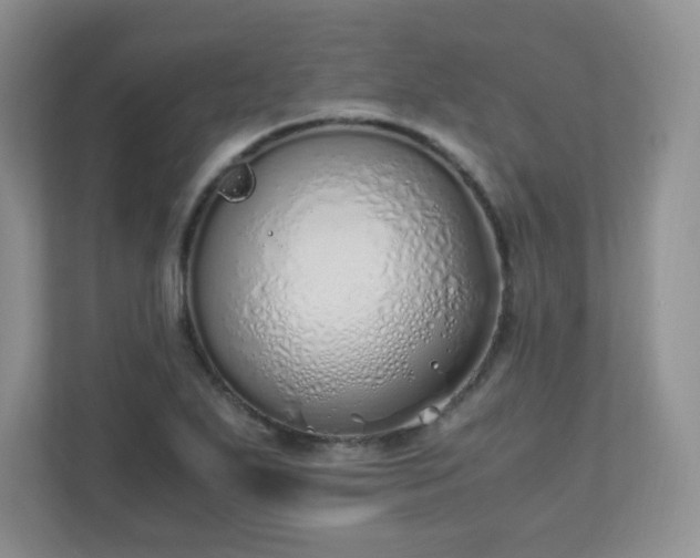 X0000110911271200906251350