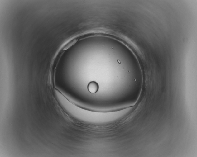 X0000110911272200906251350