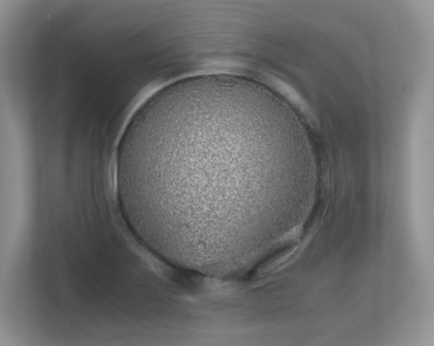 X0000110911275200906251350