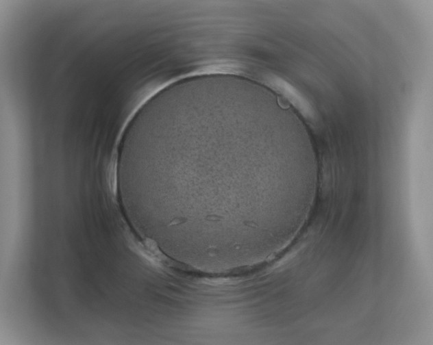 X0000110911276200906251350