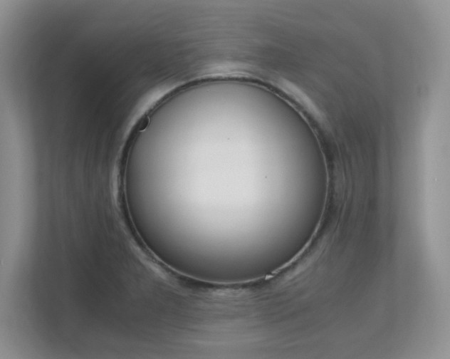 X0000110911277200906251350