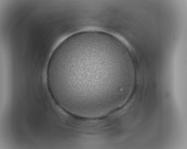 X0000110911279200906251350