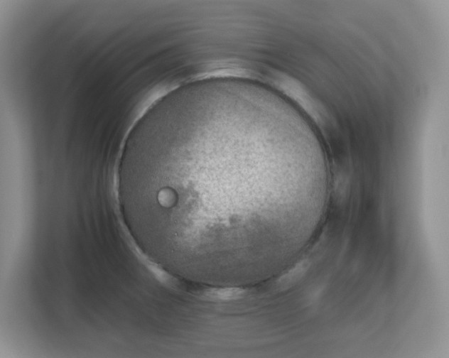 X0000110911282200906251350