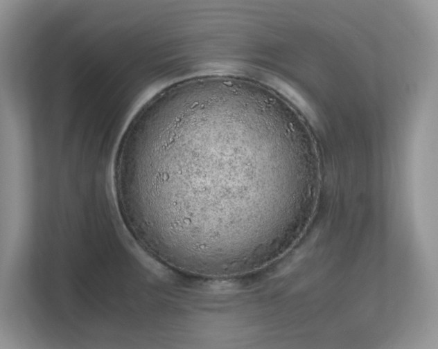 X0000110911283200906251350