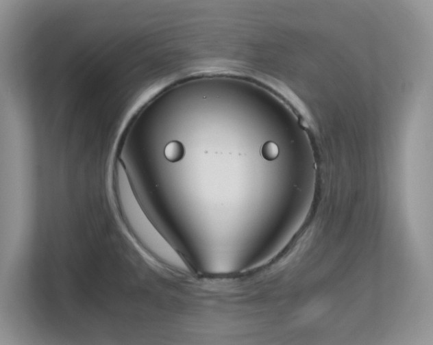 X0000110911285200906251350