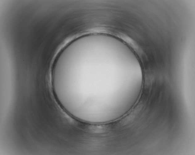 X0000110911286200906251350