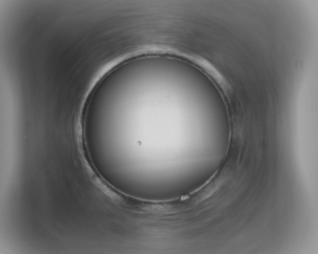 X0000110911287200906251350